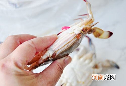 原汁原味清蒸梭子蟹