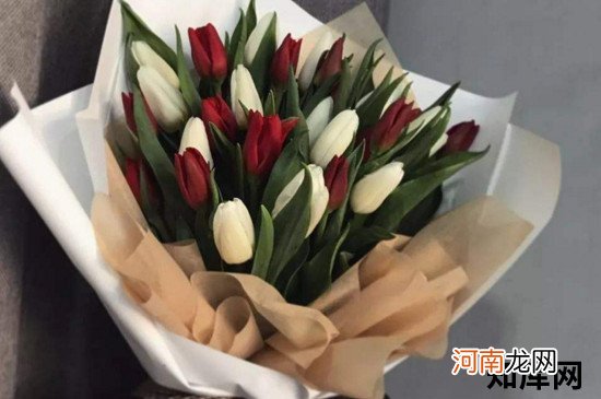 订婚送什么花