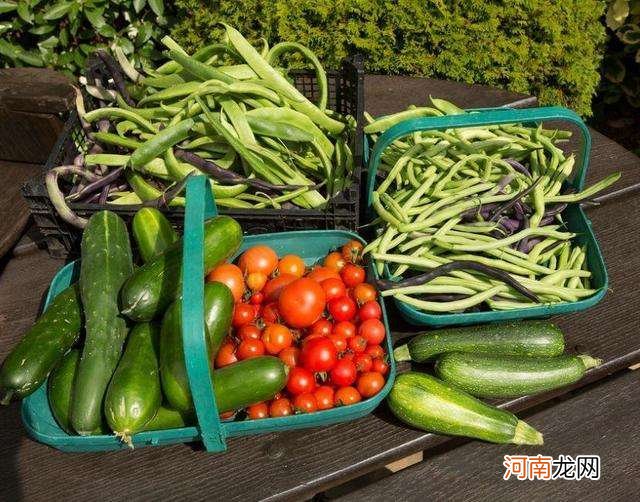 夏季的蔬菜怎么保存