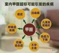 专业除甲醛有用吗？有什么好方法