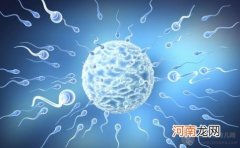 胚胎发育过程 受精卵是怎么成为小生命的