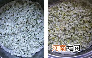 蒸榆钱饭蒸多长时间才好吃