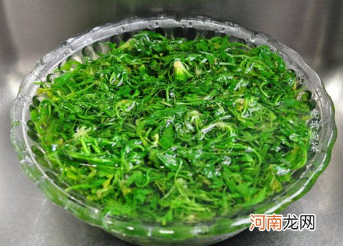 荠菜香菇大包子