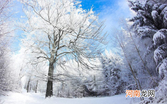 霜降和冬至节气的区别