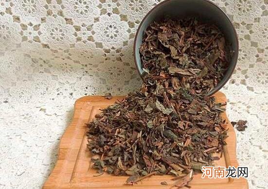 喝鱼腥草茶的好处是什么