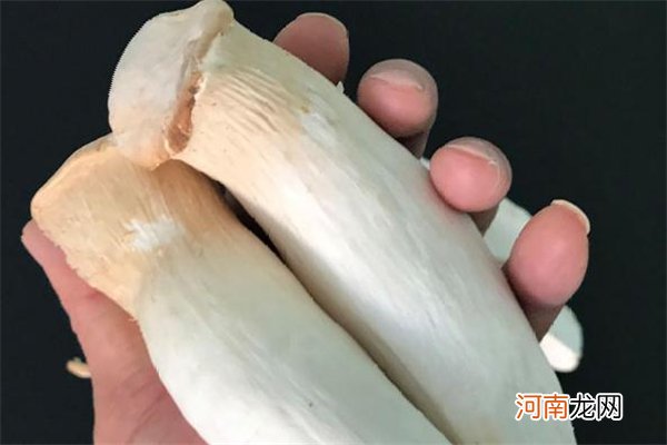 杏鲍菇为什么要焯水 杏鲍菇焯水后如何存放