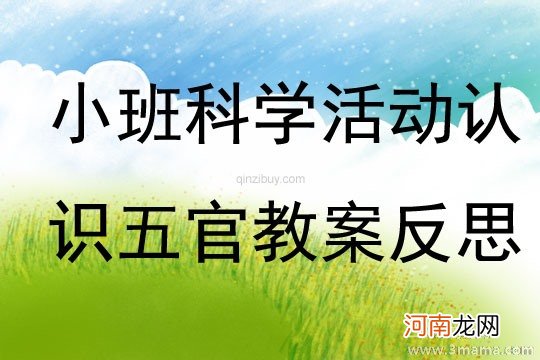 附教学反思 小班科学活动教案：认识五官教案