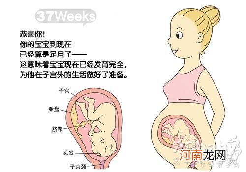 怀孕3周宝宝什么样子