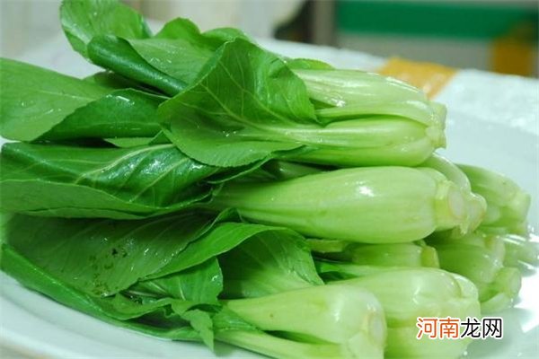 鸡毛菜是上海青吗 鸡毛菜和上海青的区别