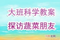 中班科学和蔬菜做朋友教案