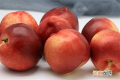 油桃常温下能够放几日 油桃常温能放多长时间