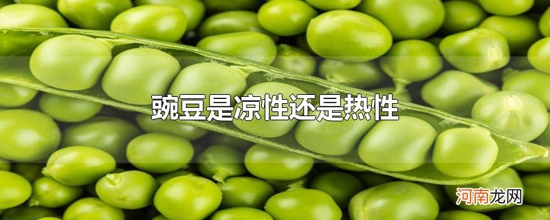 豌豆是凉性还是热性