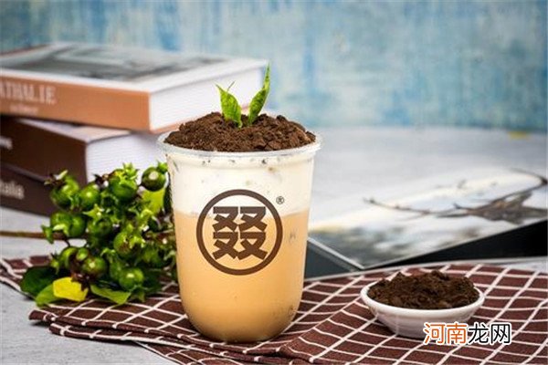 奶茶是否饮料 奶茶归属于饮料吗