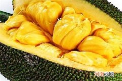 菠萝蜜有黑点能吃吗 菠萝蜜的功效与营养是什么