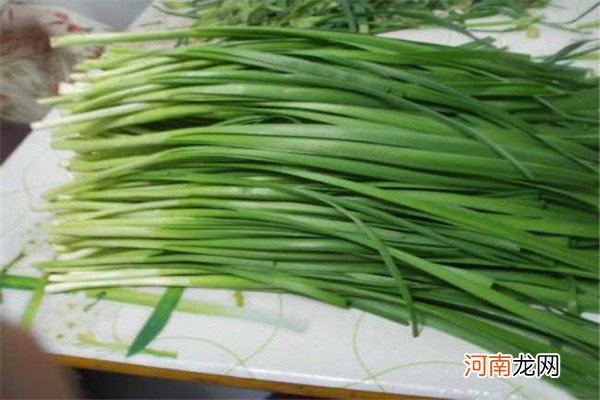 夏季能吃韭菜吗 夏季吃韭菜好吗