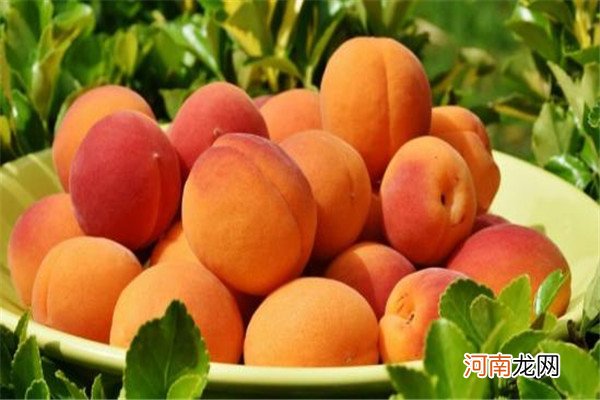 夏季桃子如何保鲜 夏季桃子如何保鲜好