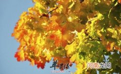 寒露起居要重视 留意细节更养生