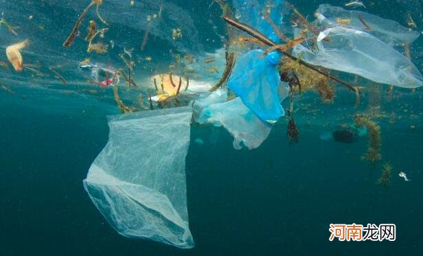 塑料袋归属于什么垃圾