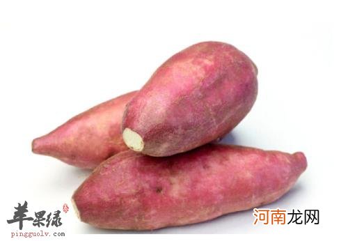 寒露吃什么养胃 这种食物合理暖胃