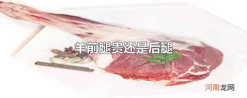 羊前腿贵还是后腿