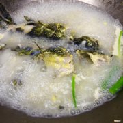 鱼汤怎么做最有营养 黑鱼汤的做法术后恢复