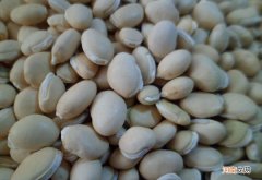 白扁豆的注意事项 适量吃才身心健康