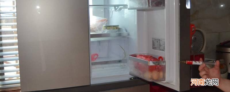 冰箱里面有蟑螂怎么办优质