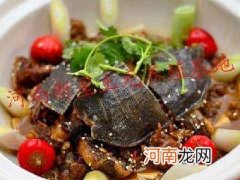 土鳖虫怎么吃 活土元卖多少钱一斤