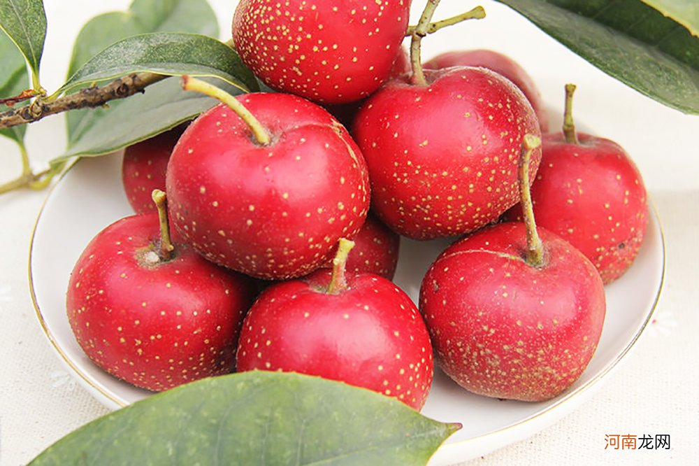 推荐15种高维C什么水果含有维生素？c美白效果高