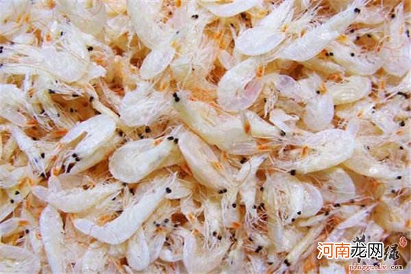 虾皮怎么吃补钙 虾皮怎么吃最有营养
