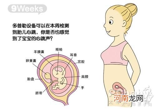 怀孕3周胚胎多大