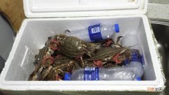 海蟹怎么保存 螃蟹死了多久不能吃了