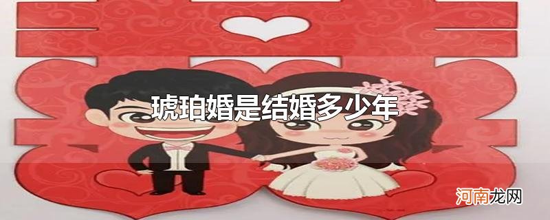 琥珀婚是结婚多少年