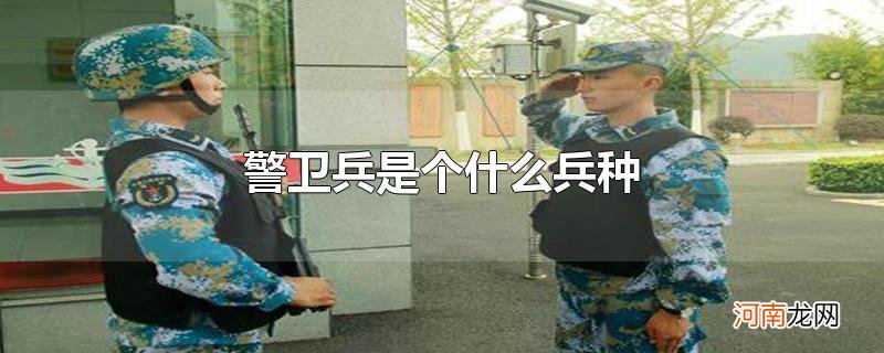 警卫兵是个什么兵种