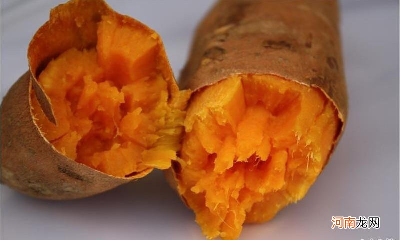 白露养生推荐吃红薯 保护肠胃预防疾病