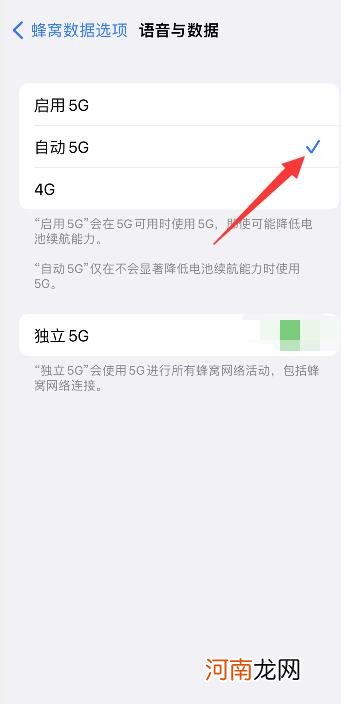 苹果13开自动5g还是独立5g