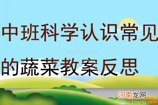 附教学反思 小班科学活动教案：认识黄瓜教案