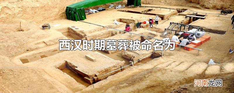 西汉时期墓葬被命名为