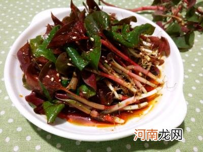 鱼腥草能不能长期性食用