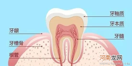 中班健康牙齿上的小洞洞教案