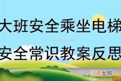 大班安全教育活动乘车小常识教案反思