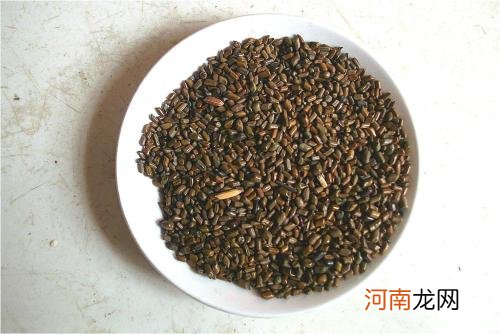 决明子的一些泡茶方法