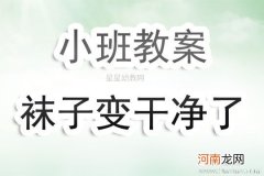 小班主题活动袜子变干净了教案反思