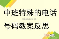 中班社会活动特殊的电话号码教案反思