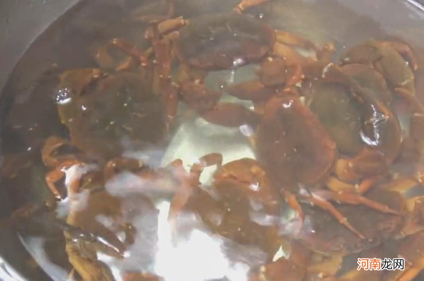 清蒸螃蟹如何清洗优质