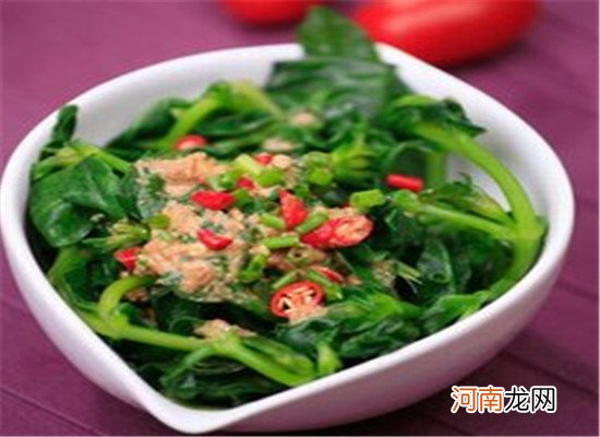 穿心莲是什么 有哪些食用禁忌