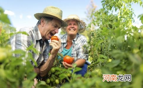 处暑容易犯困 推荐饮食协助调整