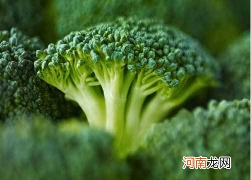 秋天当季蔬菜选择 那样吃润燥还滋补