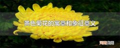 黄色菊花的寓意和象征意义