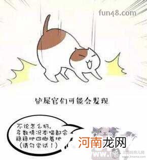 猫有九条命是真的吗?猫有九条命的传说是怎么来的?